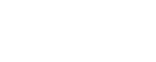 ALTO Professional Logo