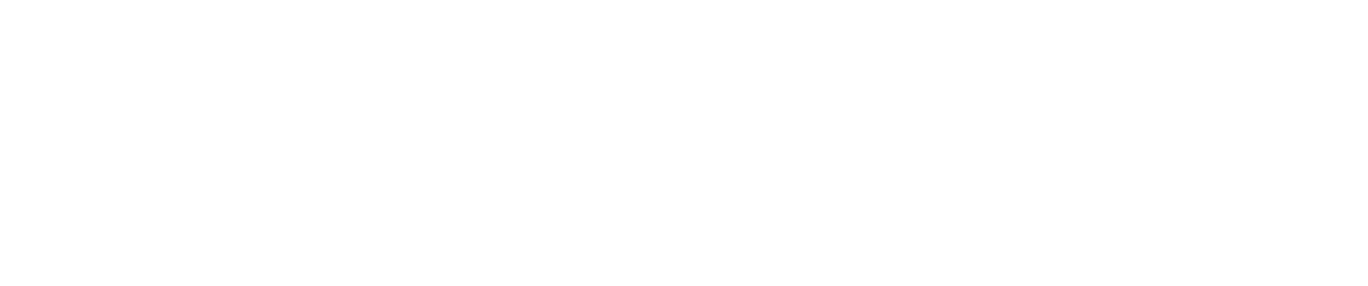 Hollyland Logo WHITE
