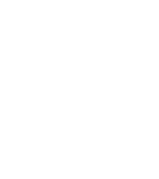 Ampeg Bass Amplifiers logo (White)